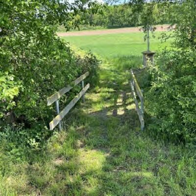 Bild vergr&ouml;&szlig;ern: Zuk�nftiger Radweg D�ssel - L�tgeneder